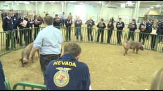 About FFA Career Development Events  National FFA Convention amp Expo [upl. by Eetnahc]