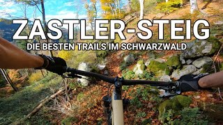 ZASTLER STEIG  VOM ROTECK NACH ZASTLER  DIE BESTEN TRAILS IM SCHWARZWALD [upl. by Lesde564]