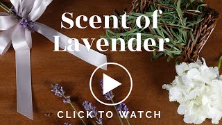 FR Presents Scent of Lavender [upl. by Caria]