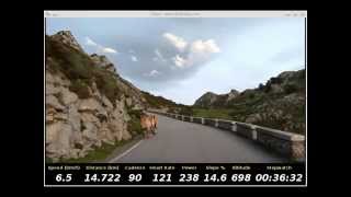 Los Lagos de Covadonga Real Life Video RLV [upl. by Halie]