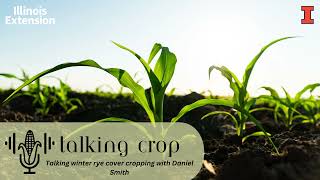 Talking winter rye cover cropping with Daniel Smith  Talking Crop [upl. by Hazelton683]