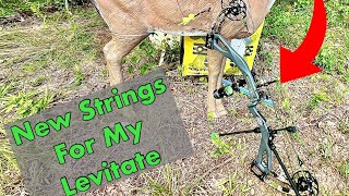 New String Install On My PSE Levitate  hunting deer deerhunting outdoors archery deerhunt [upl. by Ohaus]