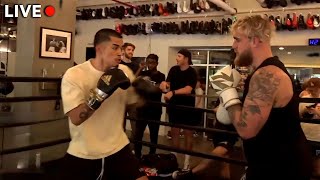 Sneako vs Jake Paul FULL FIGHT [upl. by Ydnas]