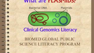 What are plasmid  Basic information [upl. by Ronen]