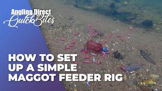 How To Set Up A Simple Maggot Feeder Rig Coarse Fishing Quickbite [upl. by Somerville]