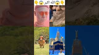 MashAllah ya Allah 🕋🕋 shorts shortsfeed islamicstatus naat funny ytshorts makka trending [upl. by Hadias]