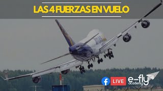 Las 4 Fuerzas En Vuelo [upl. by Rog]