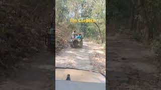 Jim Corbett jangal tigar [upl. by Nitz11]