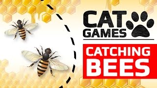 CAT GAMES  🐝 CATCHING BEES ENTERTAINMENT VIDEOS FOR CATS TO WATCH [upl. by Liew]