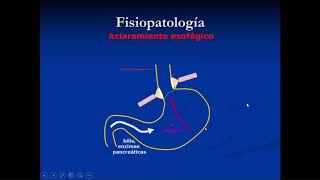 Fisiopatología Clase 25 Reflujo Gastroesofágico I 1208 [upl. by Lorolla]