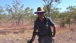 Gold Prospecting 6 Days in the North Queensland Goldfields Garrett AT Gold [upl. by Yendirb]