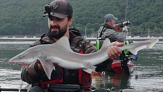 Je pêche UN REQUIN en BRETAGNE [upl. by Akinar958]