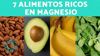 ALIMENTOS Donde se ENCUENTRA el MAGNESIO 🔝 Alimentos Altos en Magnesio [upl. by Ynolem]