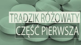 Trądzik różowaty  część 1 [upl. by Graehme]