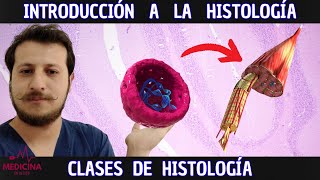 INTRODUCCIÓN a la HISTOLOGÍA [upl. by Pelpel583]