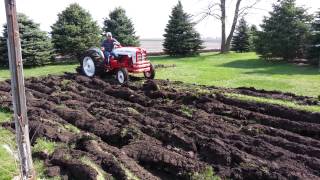 Ford Powermaster 861 plowing sod [upl. by Nyleikcaj]