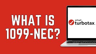 What is a 1099NEC On TurboTax  IRS 1099nec Form 2024 [upl. by Moreen966]