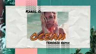 Karol G  Ocean TENORIO Remix [upl. by Hoffarth64]