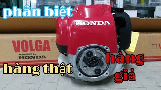 hướng dẫn kích hoạt bảo hành máy cắt cỏ HONDA GX35  HÀNG NHẬP KHẨU THÁI LAN [upl. by Ambrosi974]