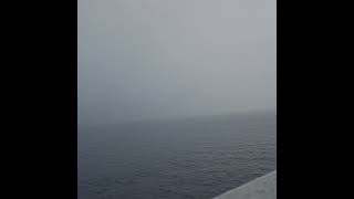 Mystical fog carnivalcruise cruise carnivalcruiseline ocean funship [upl. by Bud426]