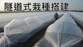 農事│ 凌晨隧道式棚搭建Build the plastic tunnel Shield at night [upl. by Ocir713]