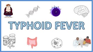 Typhoid Fever  Causes Pathogenesis Signs and Symptoms Diagnosis Treatment and Prevention [upl. by Yenhpad240]