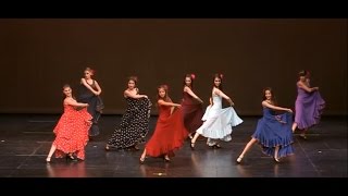 Flamenco  quotBailandoquot ShakallisDance2014 [upl. by Nikki]