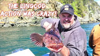 Lingcod Fishing Puget Sound Washington  San Juan Islands Opening Day 2024 [upl. by Lyall640]