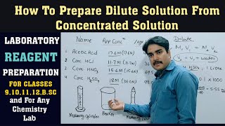 how to prepare dilute solution from concentrated acid Laboratory reagent class 9101112BSc [upl. by Eurd]