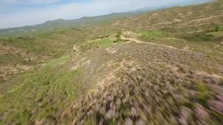 Bosc sense creus FPV [upl. by Edouard]