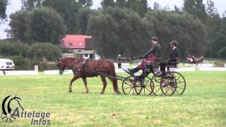 Gilles Pirotte Dressage Championnat de Belgique 2014 [upl. by Diet]