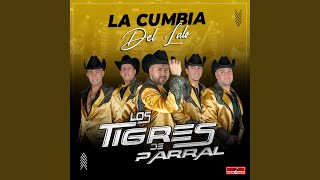 La Cumbia del Lalo [upl. by Yelha412]