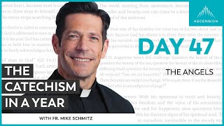 Day 47 The Angels — The Catechism in a Year with Fr Mike Schmitz [upl. by Velasco]