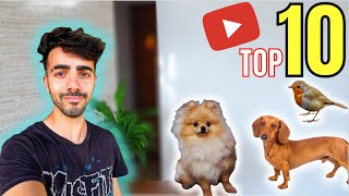 TOP 10 MOMENTOS MÁS TIERNOS DE FEDE VIGEVANI CON ANIMALES ❤️Shorts Fede Vigevani Vecibanda Fandom [upl. by Perseus]