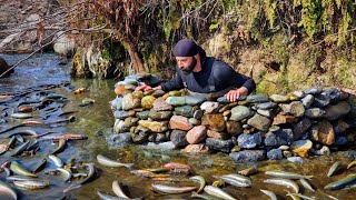 Fishing With Extraordinary Techniques  Fishing With Primitive Methods  Her Gün 30 kg Balık [upl. by Derr]