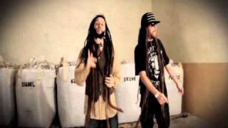 Alborosie Ganja Don  NEW HOT VIDEO  2010 [upl. by Attenyl]