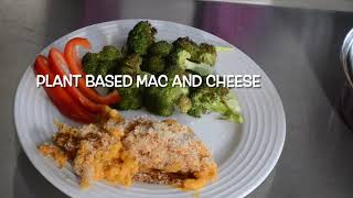 Plant Based Mac and Cheese [upl. by Sanalda783]