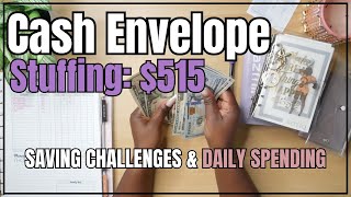 CASH ENVELOPES FOR BEGINNERS  DAILY ENVELOPES amp DAILY SPENDING [upl. by Herwin]