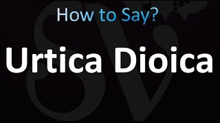 How to Pronounce Urtica Dioica correctly [upl. by Vial]