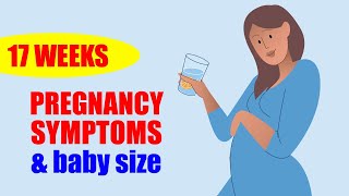 17 Weeks Pregnant Symptoms and Baby Moving – Baby Size in Womb [upl. by Wilkinson]