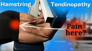 Proximal Hamstring Tendon Rehab Progression Exercises for Buttock Pain [upl. by Ayahc659]