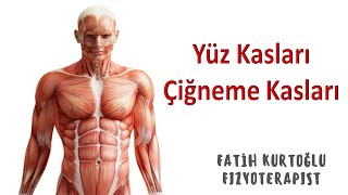 Yüz ve Çiğneme Kasları  KAS ANATOMİ si KONU ANLATIMI 17 [upl. by Ahsekyt]