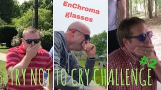 TRY NOT TO CRY CHALLENGE 2 EnChroma glasses [upl. by Kenweigh]