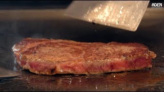 Rare Kagoshima Wagyu Steak  Teppanyaki in Japan [upl. by Montford]