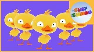 Five little ducks  Counting down from 5 Song  Tiny Tunes [upl. by Yesnil632]