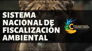 SISTEMA NACIONAL DE EVALUACIÓN Y FISCALIZACIÓN AMBIENTAL [upl. by Mathews533]