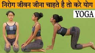 निरोग जीवन जीना चाहते हैं तो करे योग  YOGA [upl. by Batholomew]