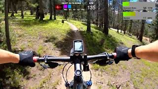 Breckenridge Mountain Biking with Telemetry [upl. by Anthe]