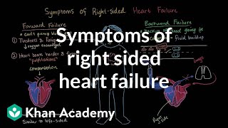 Symptoms of right sided heart failure  Circulatory System and Disease  NCLEXRN  Khan Academy [upl. by Chevy]