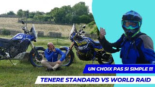 TENERE 700 STANDARD OU WORLD RAID  Et toi Tu Choisirais Laquelle [upl. by Lerat]